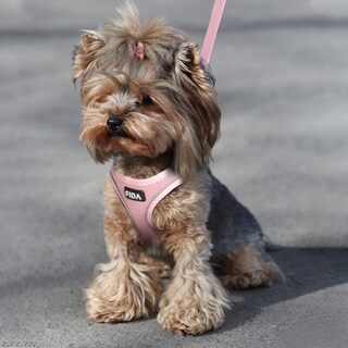 Foto 6 | Foto 6 | Arnés Para Mascotas Con Correa Fida Comfy Para Cachorros Y Mascotas Extrapequeñas - Venta Internacional.