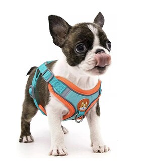 Foto 4 | Foto 4 | Pechera Lab.g Arnés Con Bandas Azul Agua1 Talla L