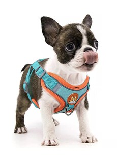 Foto 2 | Foto 2 | Pechera Arnés Para Perro Regulable Con Bandas Reflectivas Azul/naranja