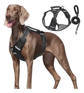 Foto 1 | Foto 1 | Pechera Xtellar Arnés De Seguridad Para Perro Chico Mediano Y Grande
