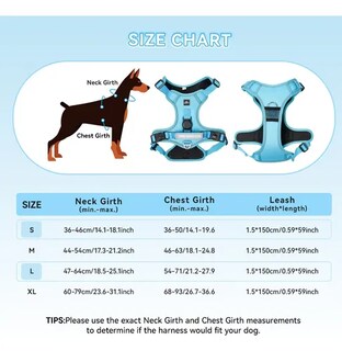 Foto 2 | Foto 2 | Pechera Arnés Xtellar Con Correa Para Perros Extra Grandes