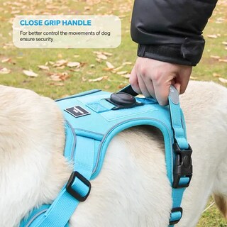 Foto 4 | Foto 4 | Pechera Arnés Xtellar Con Correa Para Perros Extra Grandes