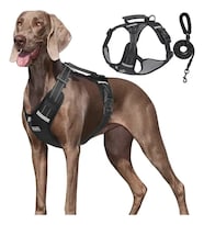Pechera Arnés Xtellar De Seguridad Para Perro Chico Mediano Y Grande