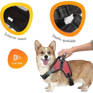 Foto 5 | Foto 5 | Mascretta Arnés/pechera Para Perro Color Rojo Talla G