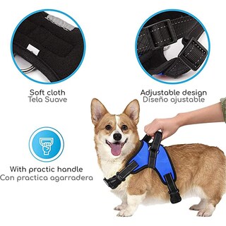 Foto 4 | Foto 4 | Mascretta Arnés/pechera Para Perro Color Azul Talla G