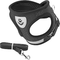 Mascretta Set De Correa Y Arnés Para Perro Chico O Gato Color Negro S