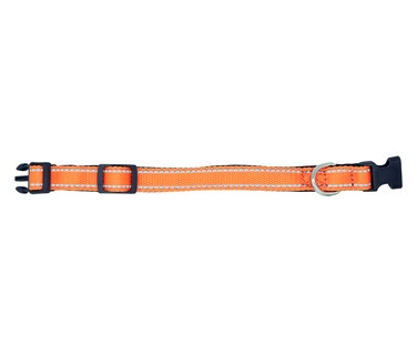 Foto 3 | Foto 3 | Collar Reflejante para Perro con Interior de Neopreno Acolchonado Pet's Life Pp153 Anaranjado Chico