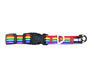 Foto 1 | Foto 1 | Collar Arcoíris Pet's Life Pp07 Multicolor