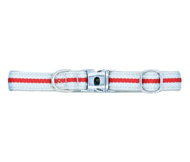 Foto 1 | Foto 1 | Collar con Banda Reflectiva Pet's Life Pp27 Rojo Chico