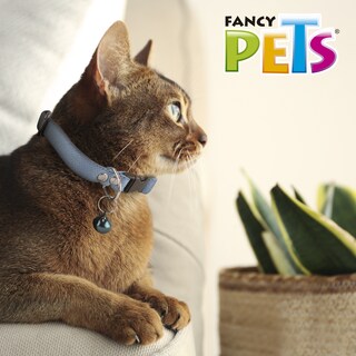 Foto 5 | Foto 5 | Collar Elástico con Cascabel para Gato Fancy Pets