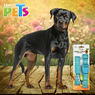 Foto 4 | Foto 4 | Correa con Collar Fancy Pets para Mascota
