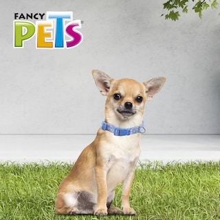 Foto 4 | Foto 4 | Collar para Perro Fancy Pets FL9509 Multicolor Tamaño Extrachico