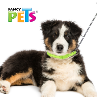 Foto 7 | Foto 7 | Collar Ajustable para Perro Fancy Pets FL8703 Colores Surtidos con Bandas Reflejantes Tamaño Mediano