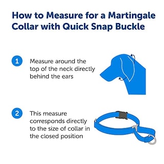 Foto 5 | Foto 5 | Collar para Perro PetSafe Martingale con Hebilla de Cierre R - Venta Internacional