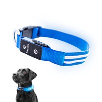 Collar para Perro con Luz Led Azul USB Recargable Resistente al Agua - Venta Internacional