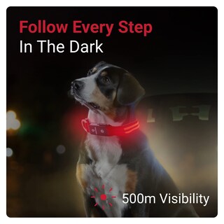 Foto 2 | Foto 2 | Collar para Perro con Luz Led Roja USB Recargable Resistente al Agua - Venta Internacional
