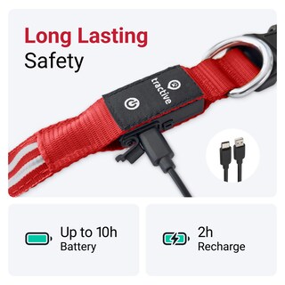 Foto 5 | Foto 5 | Collar para Perro con Luz Led Roja USB Recargable Resistente al Agua - Venta Internacional