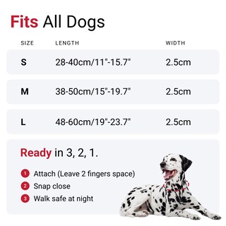 Foto 6 | Foto 6 | Collar para Perro con Luz Led Roja USB Recargable Resistente al Agua - Venta Internacional