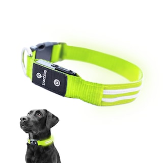 Foto 1 | Foto 1 | Collar para Perro con Luz Led Verde USB Recargable Resistente al Agua - Venta Internacional