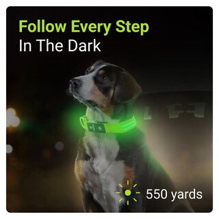 Foto 2 | Foto 2 | Collar para Perro con Luz Led Verde USB Recargable Resistente al Agua - Venta Internacional