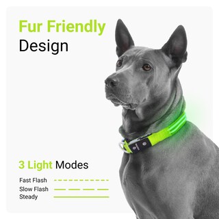 Foto 3 | Foto 3 | Collar para Perro con Luz Led Verde USB Recargable Resistente al Agua - Venta Internacional