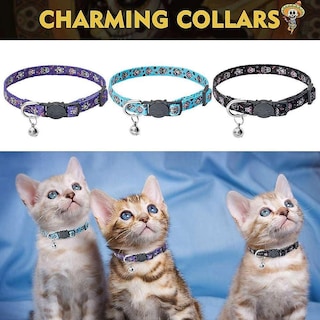 Foto 1 | Foto 1 | Collar Cat Breakaway, Paquete De 3, Estampado De Calavera De Halloween - Venta Internacional.