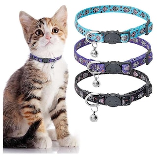 Foto 4 | Foto 4 | Collar Cat Breakaway, Paquete De 3, Estampado De Calavera De Halloween - Venta Internacional.