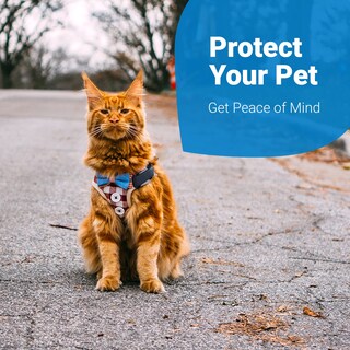 Foto 6 | Foto 6 | Arnés Gps Tractive Gps Cat 4 Para Gatos - Venta Internacional.