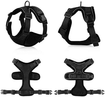 Foto 4 | Foto 4 | Arnés Para Gatos Huoguo Correa De Poliéster Transpirable A Prueba De Fugas - Venta Internacional.