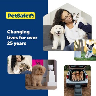 Foto 3 | Foto 3 | Collar Martingale Petsafe 3/4 Pequeño Negro - Venta Internacional.