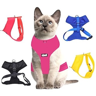 Foto 1 | Foto 1 | Arnés Para Gatos Sanlin Beans, Acolchado De Lujo, Resistente Al Agua, Azul - Venta Internacional.