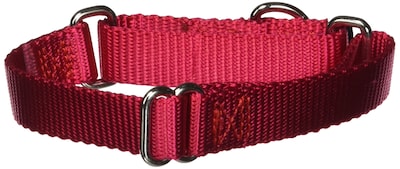 Foto 1 | Foto 1 | Collar Martingale Petsafe 3/4 Pequeño Rojo - Venta Internacional.