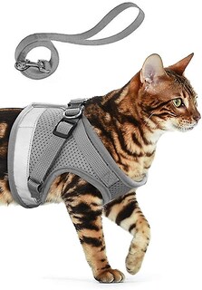 Foto 2 | Foto 2 | Arnés Para Gatos Huoguo Correa A Prueba De Fugas Para Gatos - Venta Internacional.