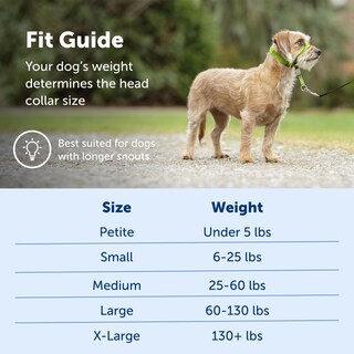 Foto 5 | Foto 5 | Collar Para Perro Petsafe Gentle Leader No-pull Small Silver - Venta Internacional.