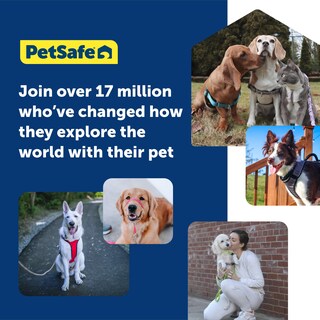 Foto 6 | Foto 6 | Collar Para Perro Petsafe Gentle Leader No-pull Small Silver - Venta Internacional.