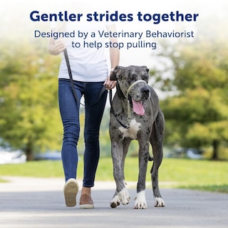 Foto 2 | Foto 2 | Collar Para Perro Headcollar Petsafe Gentle Leader Sin Tirones, Azul L - Venta Internacional.