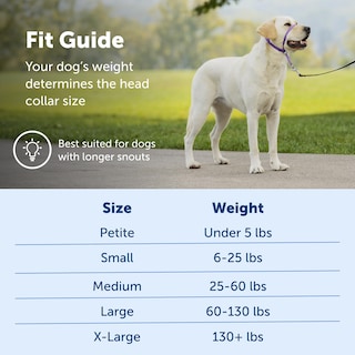 Foto 5 | Foto 5 | Collar Para Perro Headcollar Petsafe Gentle Leader Sin Tirones, Azul L - Venta Internacional.