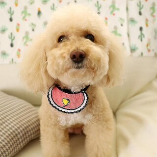 Foto 1 | Foto 1 | Collar Para Perro Pequeño Bird Cage Bird Baths Huoguo Love Pink - Venta Internacional.