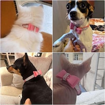 Collar De Perro Huoguo Para Perros Pequeños, Medianos Y Grandes, Hembras Y Machos - Venta Internacional.