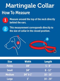 Foto 3 | Foto 3 | Collar Martingale Petsafe, Azul Real, 3/4 Pulgadas, Tamaño Mediano - Venta Internacional.