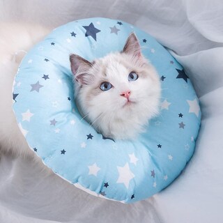 Foto 4 | Foto 4 | Collar De Recuperación Para Gatos Huoguo, Ajustable, Para Mascotas De 2 Kg - Venta Internacional.