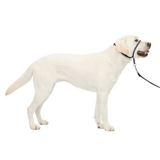 Foto 1 | Foto 1 | Collar Para Perro Petsafe Gentle Leader, No Tira, Grande, Color Carbón - Venta Internacional.