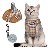 Set De Arnés Y Correa Para Gatos Fayogoo Para Caminar, A Prueba De Escapes - Venta Internacional.