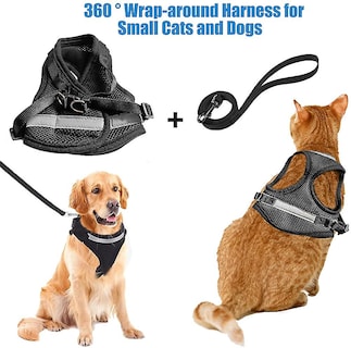 Foto 3 | Foto 3 | Juego De Arneses Para Gatos Huoguo Con Correa De 120 Cm Y Rayas Reflectantes - Venta Internacional.