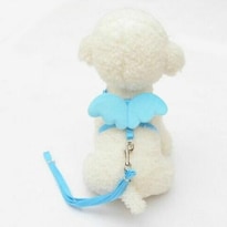 Correas Para Perros Bird Cage Bird Baths, Con Forma De Ángel, Color Azul S - Venta Internacional.