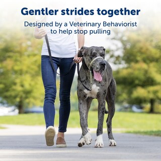 Foto 2 | Foto 2 | Collar Para Perro Petsafe Gentle Leader No-pull Deep Purple M - Venta Internacional.