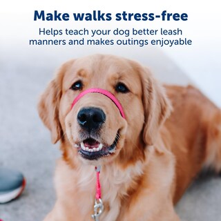 Foto 4 | Foto 4 | Collar De Cabeza Petsafe Gentle Leader No-pull Para Perro Pequeño, Rojo - Venta Internacional.