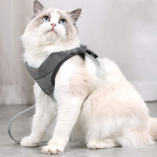 Foto 3 | Foto 3 | Arnés Huoguo Para Gatos Y Cachorros, Pecho De 28 A 33 Cm, Con Correa - Venta Internacional.