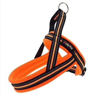 Foto 2 | Foto 2 | Arnés De Pecho Con Correa Traction Para Perros Grandes Huoguo A7 Reflecti - Venta Internacional.