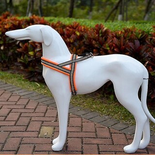 Foto 3 | Foto 3 | Arnés De Pecho Con Correa Traction Para Perros Grandes Huoguo A7 Reflecti - Venta Internacional.